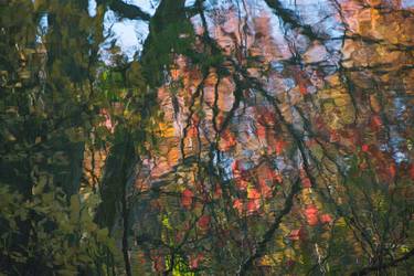 Original Impressionism Nature Photography by Evelyn Sadler