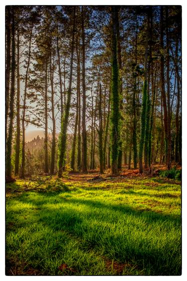 Print of Fine Art Landscape Photography by Rory Williams