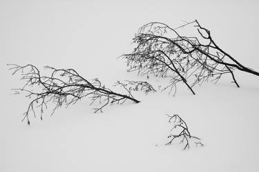 Print of Abstract Landscape Photography by Phuong Truong