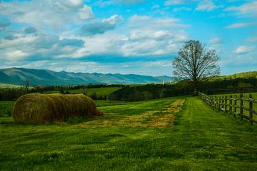 Farm, Mims Road #1 thumb