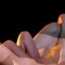 Bodyscapes #3, in the 2 point 0 group
