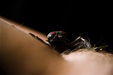 Bodyscape #17, Rise of the insects thumb