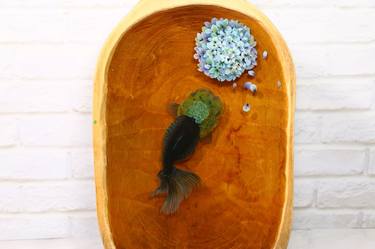 Ranchu Goldfish With Hydrangea Flower - 3D Resin Painting, Goldfish Painting For Table Decor, Large Wooden Spoon Based Wall decor thumb