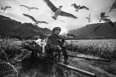 Ricefield seagulls - Limited Edition 1 of 5 thumb