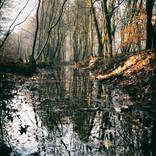 Reflection of life - Limited Edition of 3 by Beerman Art