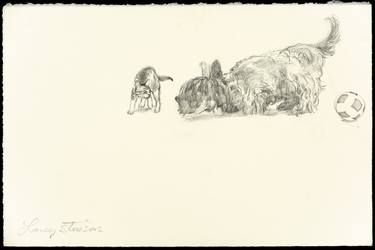 Original Illustration Animal Drawings by Lacey Stinson