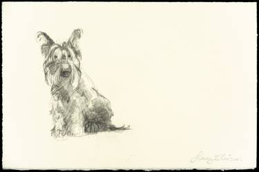 Original Fine Art Dogs Drawings by Lacey Stinson