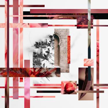 Print of Cubism Floral Photography by Pelin Atilla