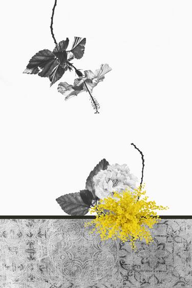 Original Floral Photography by Pelin Atilla