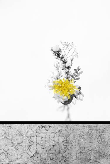 Original Abstract Floral Photography by Pelin Atilla
