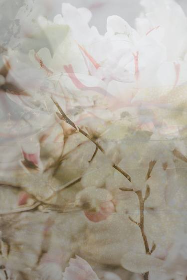 Original Impressionism Floral Photography by Pelin Atilla