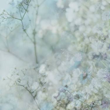 Print of Impressionism Floral Photography by Pelin Atilla