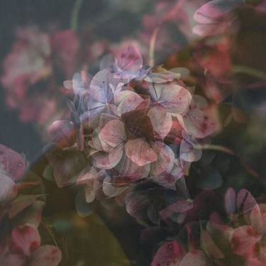 Original Impressionism Floral Photography by Pelin Atilla