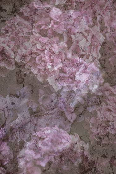 Print of Impressionism Floral Photography by Pelin Atilla