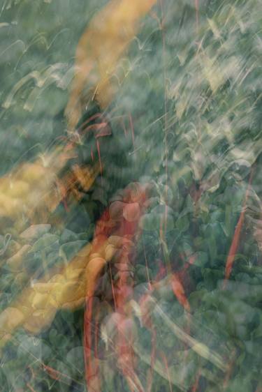 Original Impressionism Nature Photography by Pelin Atilla