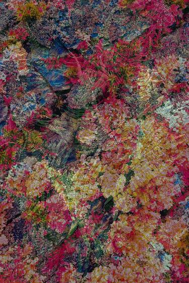 Print of Abstract Floral Photography by Pelin Atilla