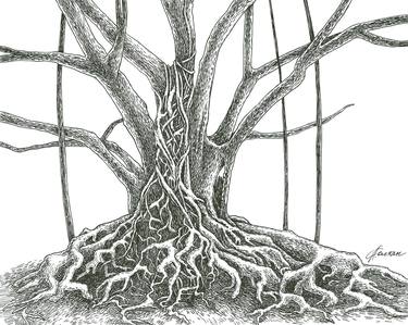 Print of Tree Drawings by Liubou Soltan