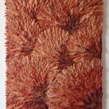 Collection Unique & Eclectic