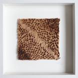 Collection Art for Small Spaces