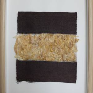 Collection New Voices Catalog: Tangible Textures