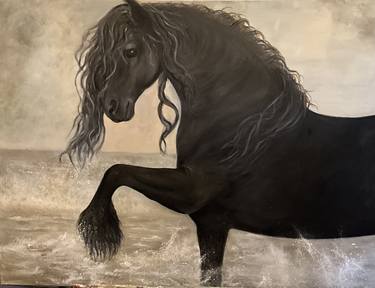 Friesian Stallion 1 thumb