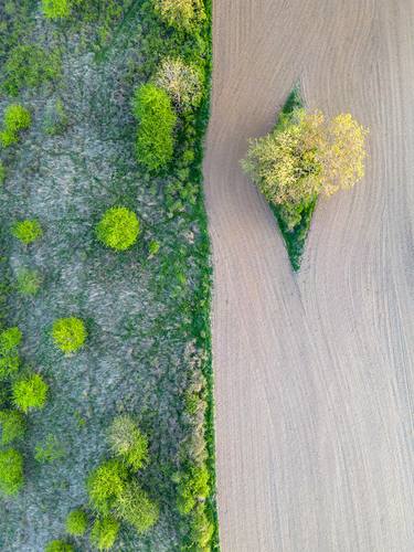 Original Contemporary Landscape Photography by Norbert Fritz