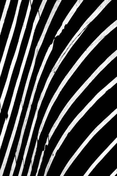 White stripes No. 4 - Large thumb