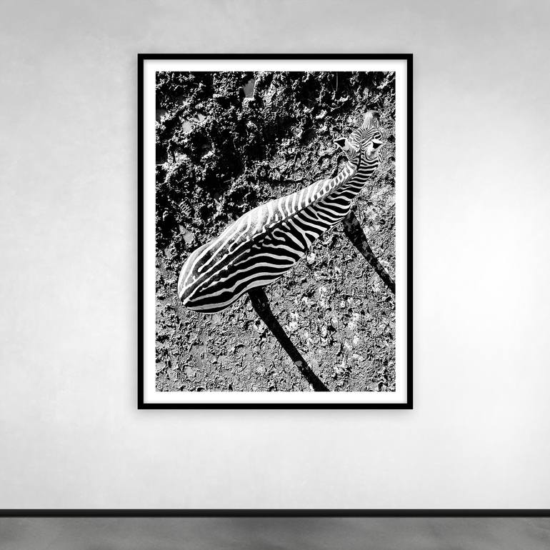 Original Fine Art Animal Photography by Norbert Fritz