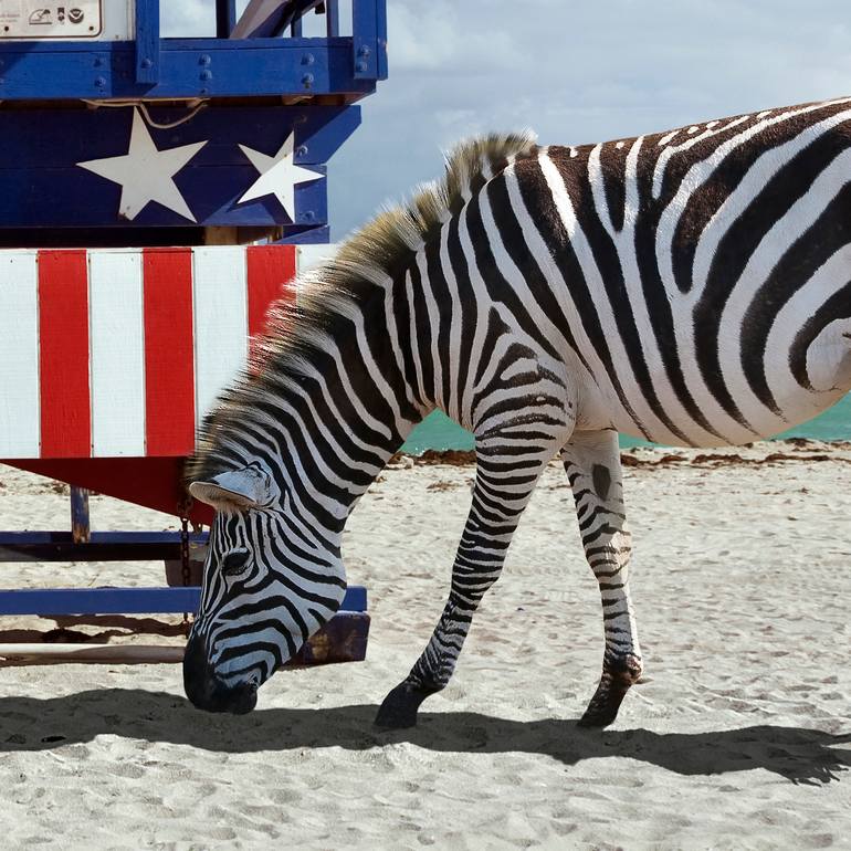 Original Conceptual Animal Photography by Alvaro Ras