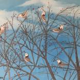 FEEDING FRENZY by LESLIE DANNENBERG