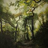 Out Of The Darkness by Clifford Palmer