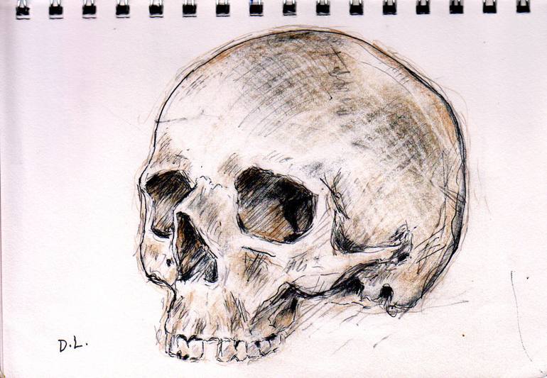 skull pictures to draw