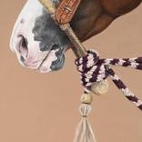 Collection Animal Art Prints