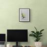 Green Shard - Framed Example