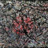 Orbit of Chaos by juan jose garay