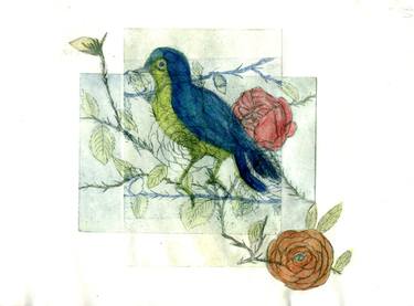 Oiseau Paradis Rehaut Printmaking By Valrie Belmokhtar