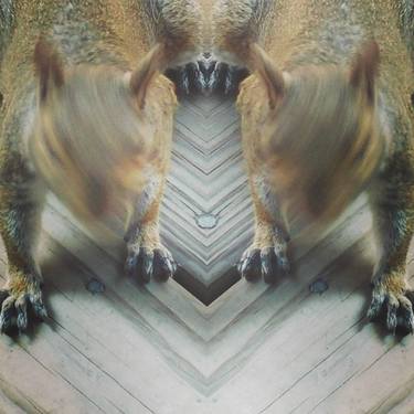 Print of Abstract Animal Photography by Nancy Bechtol
