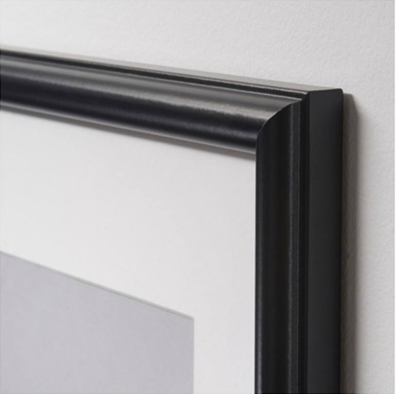 Original Other Animal Photography by Jochen Van Dijk