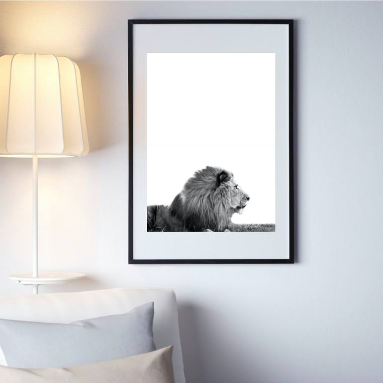 Original Fine Art Animal Photography by Jochen van Dijk