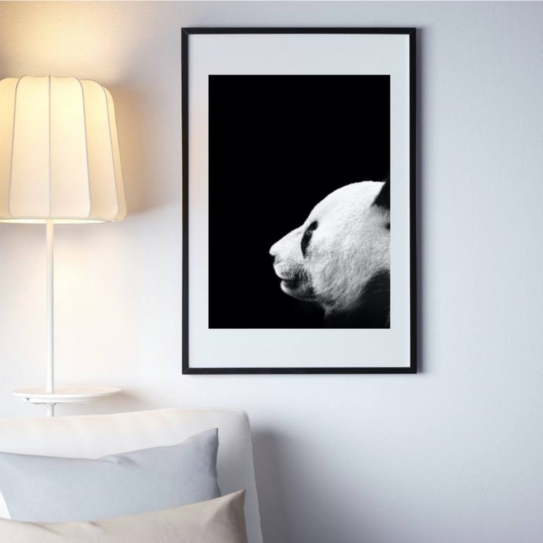 Original Fine Art Animal Photography by Jochen van Dijk
