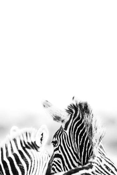 Original Animal Photography by Jochen van Dijk