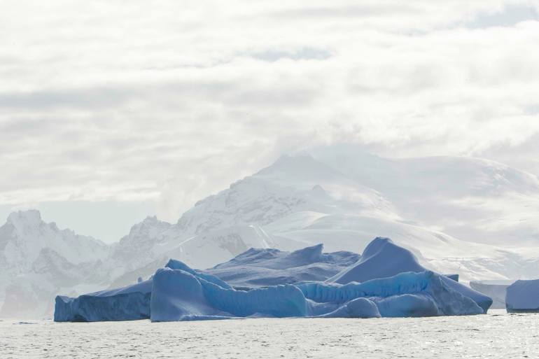 Original Seascape Photography by Roberta Jean Smith | Documentary Art on Aluminum | South of the Antarctic Circle Near Detaille Island 1