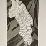 Collection Intaglio Prints of Wildlife