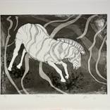 Collection Intaglio Prints of Wildlife