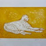 Cheetah Waiting by Roberta Jean Smith