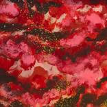 Collection Reds in the Aurora Borealis