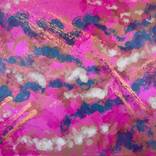 Collection Purple and Pink Auroras