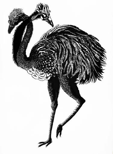 Ostrich Limited Edition Print of 10 / two were sold thumb