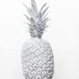 Collection Art for Your Senses: Taste