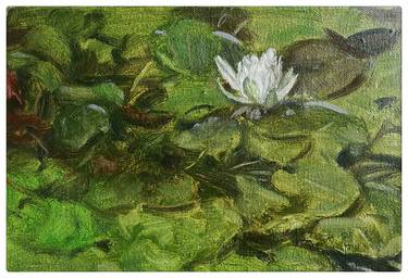 Print of Botanic Paintings by SUNSHINE ART